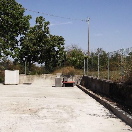 Perarolo La Panoramica 빌라 외부 사진