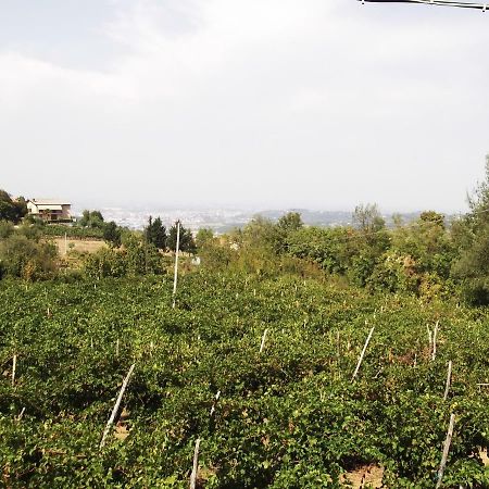 Perarolo La Panoramica 빌라 외부 사진